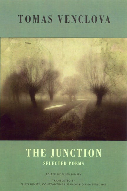 Book cover image for The Junction ISBN: 9781852248109