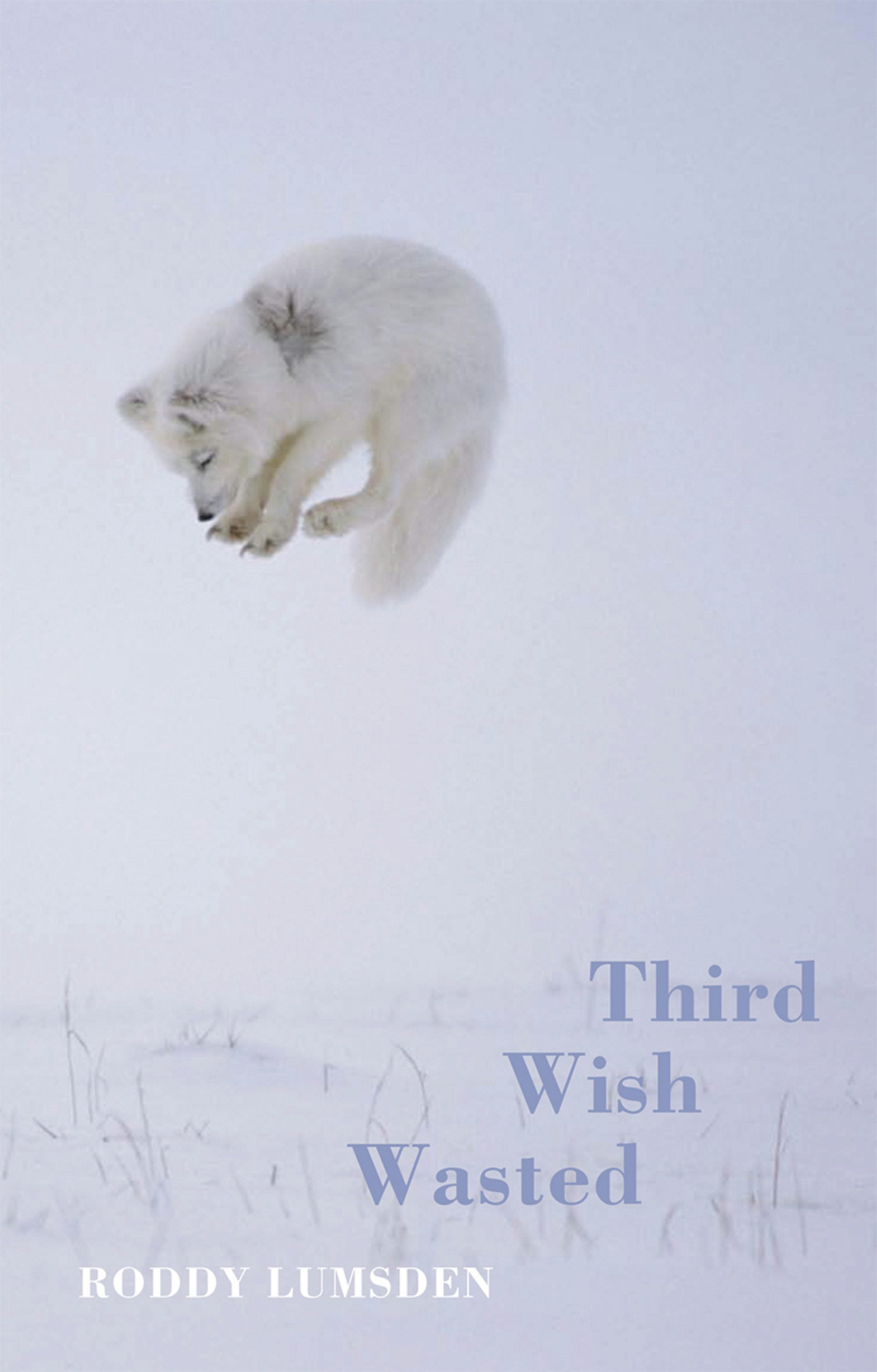 Book cover image for Third Wish Wasted ISBN: 9781852248284
