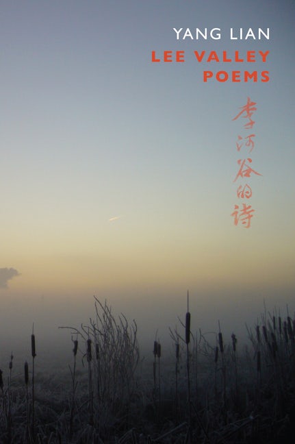 Book cover image for Lee Valley Poems ISBN: 9781852248345