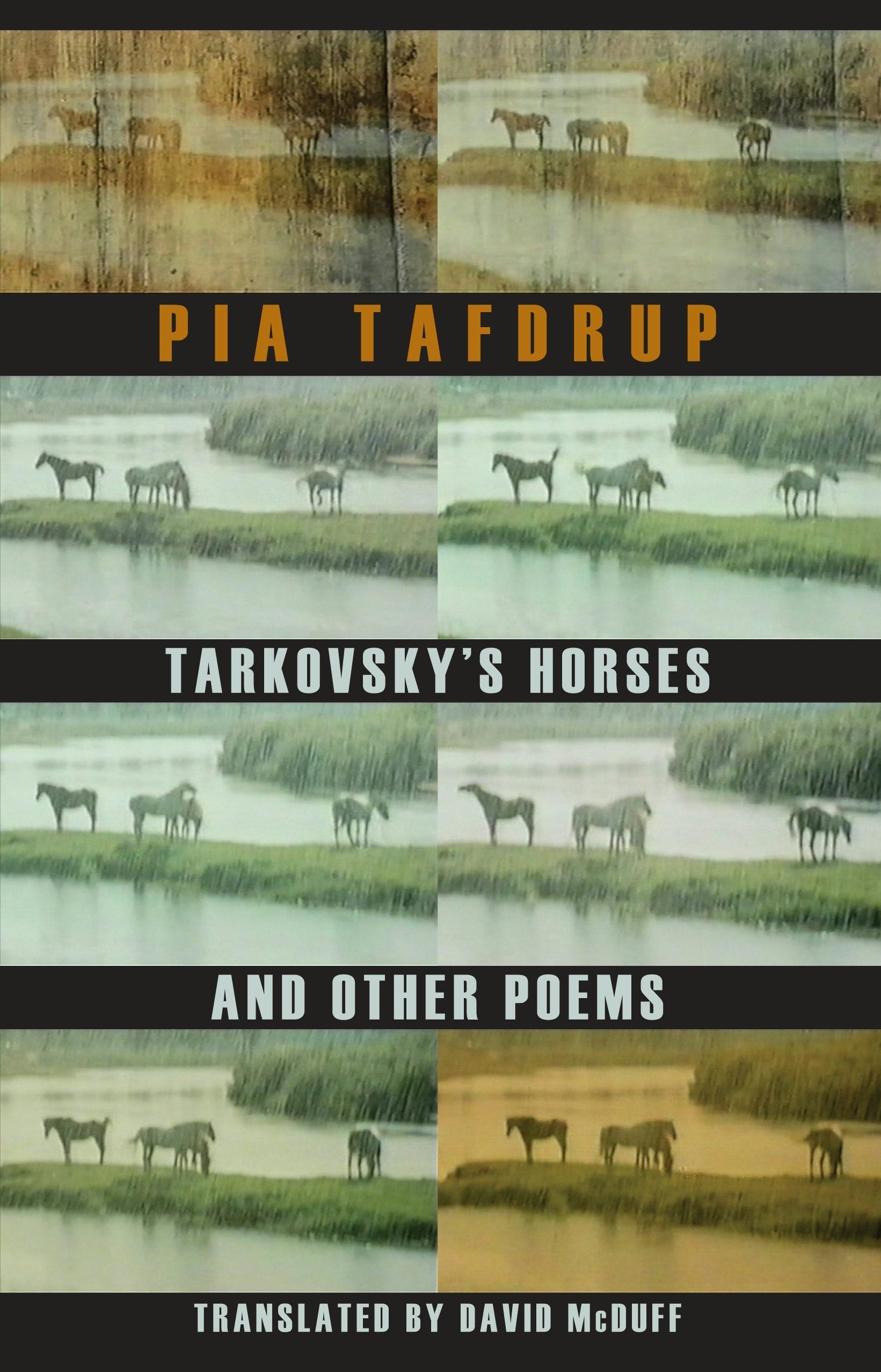 Book cover image for Tarkovsky's Horses and other poems ISBN: 9781852248376
