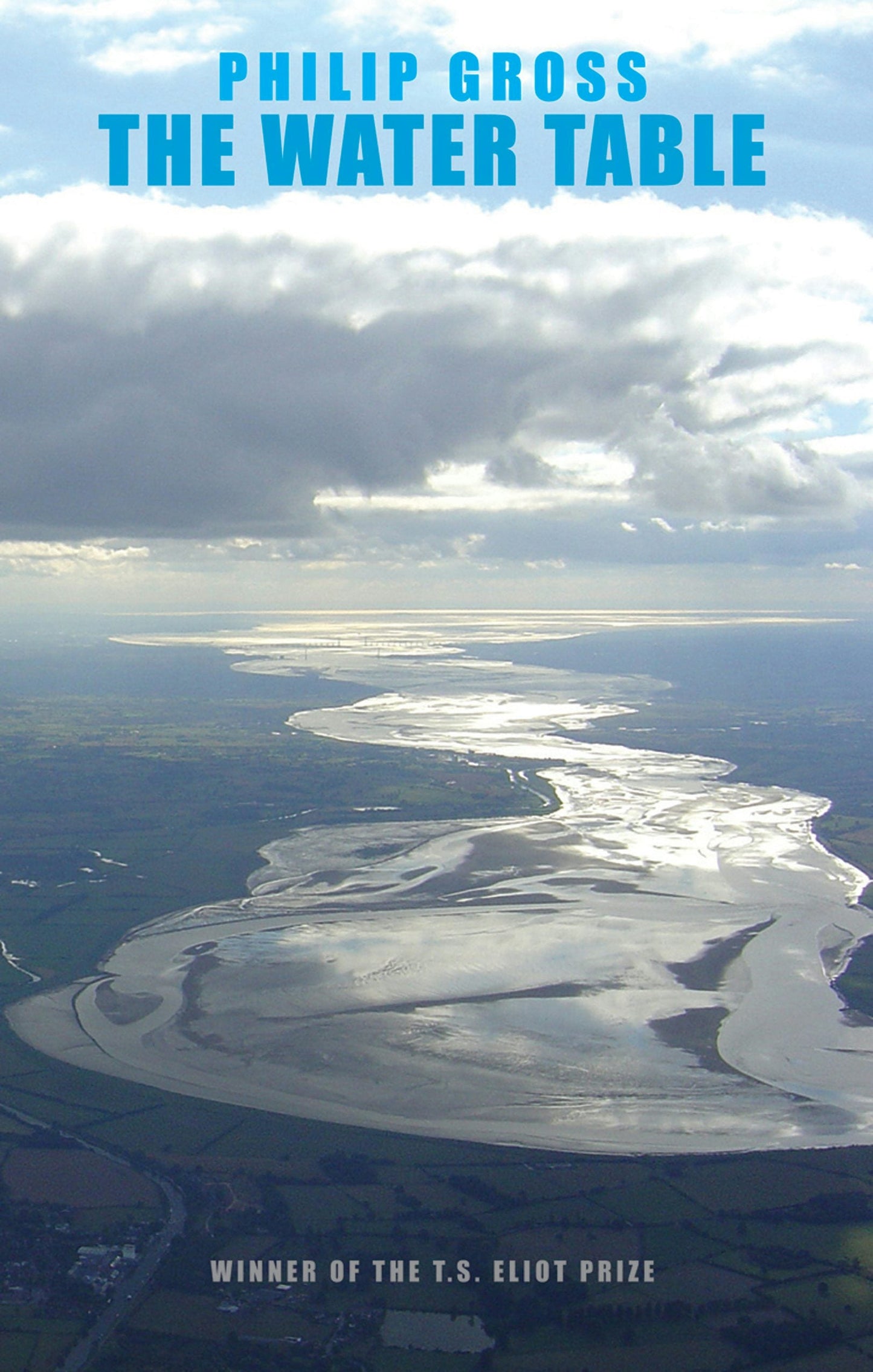 Book cover image for The Water Table ISBN: 9781852248529