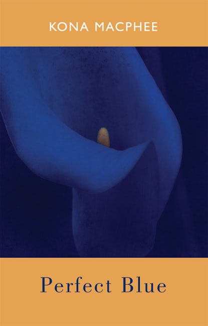 Book cover image for Perfect Blue ISBN: 9781852248666