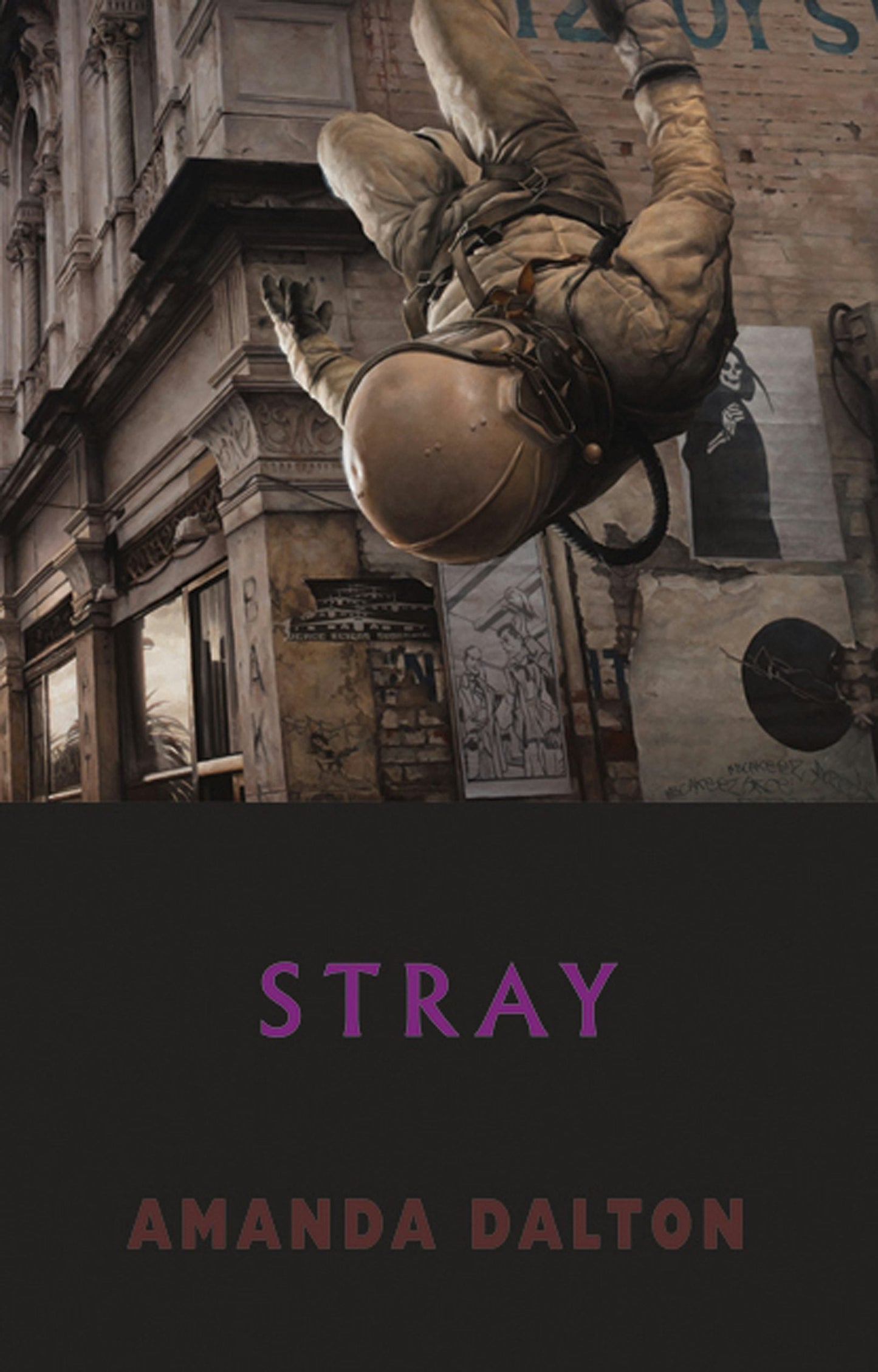 Book cover image for Stray ISBN: 9781852248925