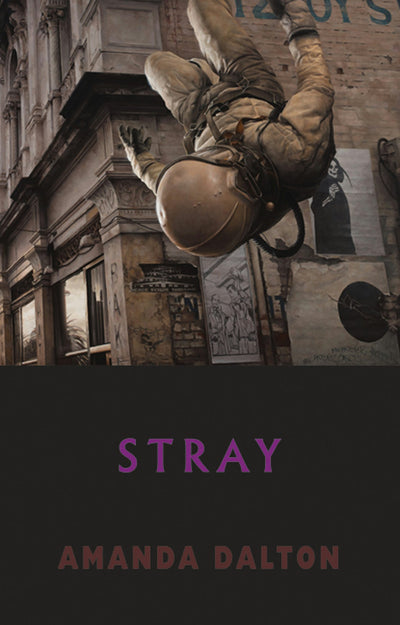 Cover image for Stray, isbn: 9781852248925