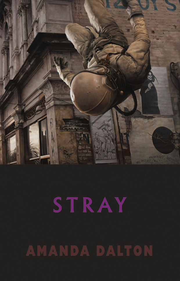 Cover image for Stray, isbn: 9781852248925