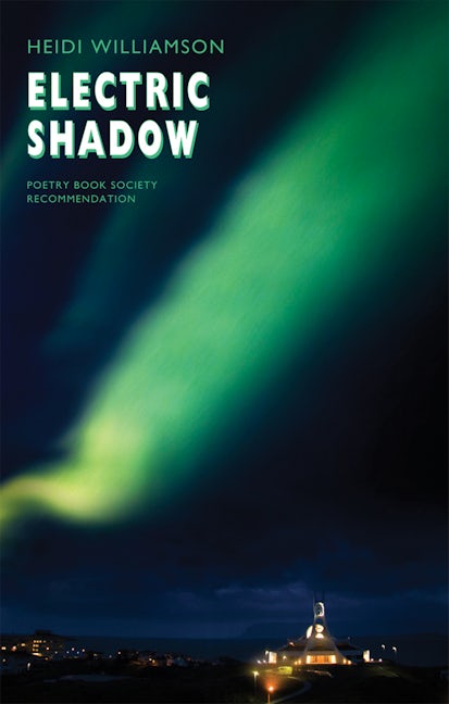 Book cover image for Electric Shadow ISBN: 9781852249021