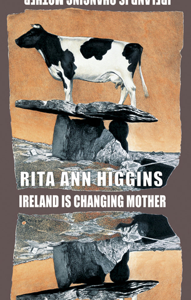 Cover image for Ireland Is Changing Mother, isbn: 9781852249052