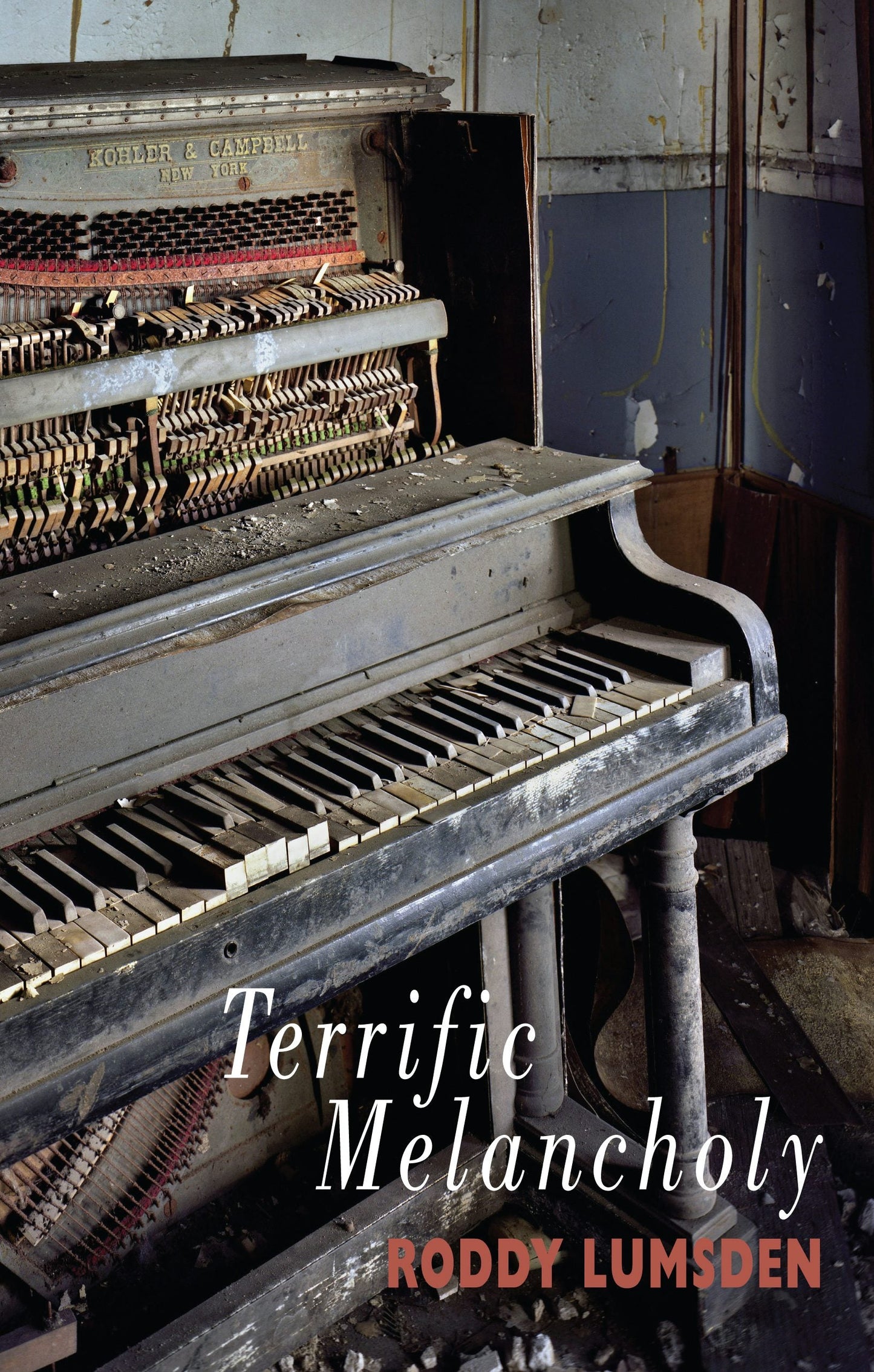 Book cover image for Terrific Melancholy ISBN: 9781852249083