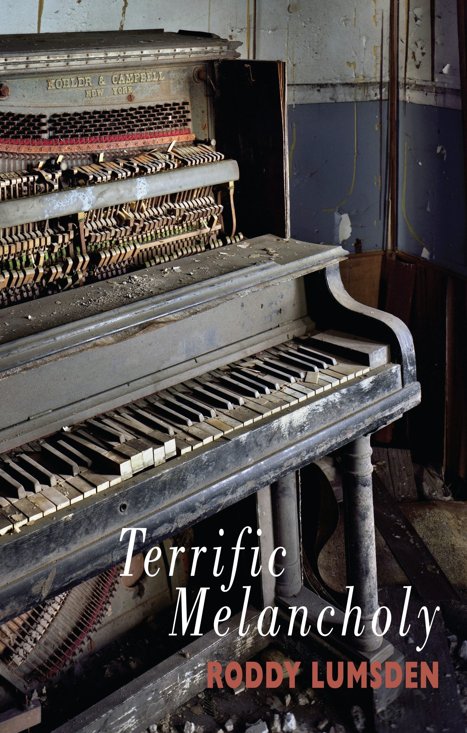 Book cover image for Terrific Melancholy ISBN: 9781852249083