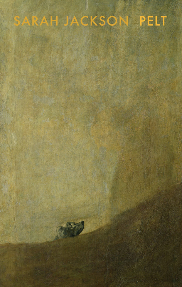 Cover image for Pelt, isbn: 9781852249311