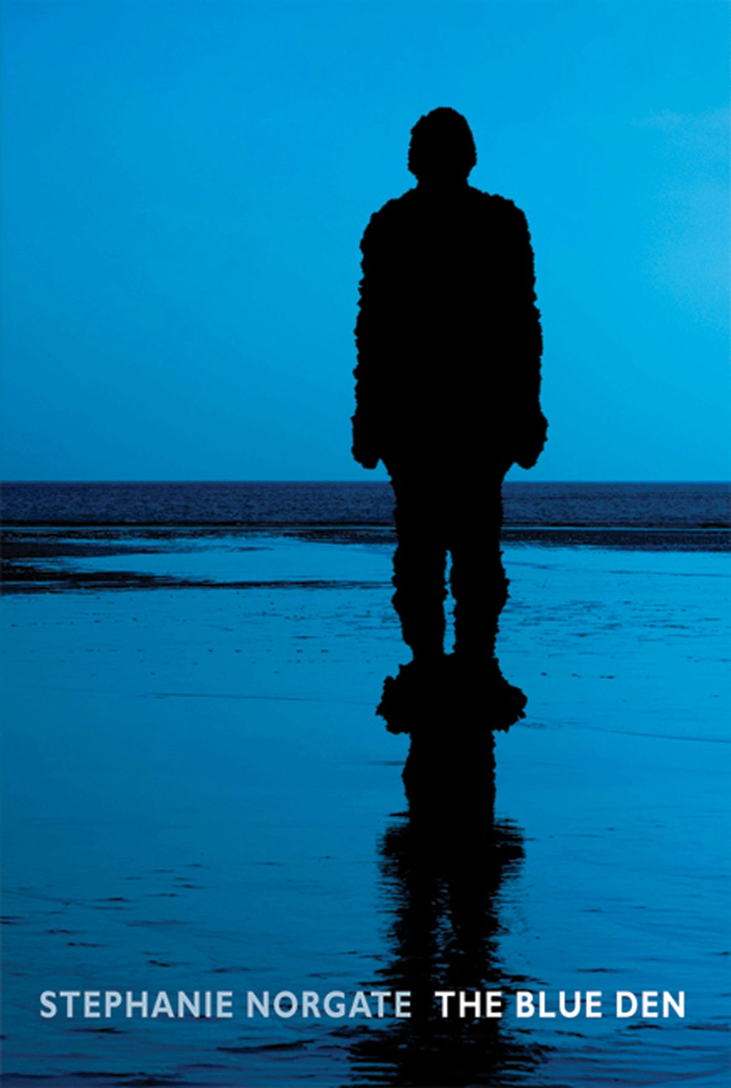 Book cover image for The Blue Den ISBN: 9781852249373