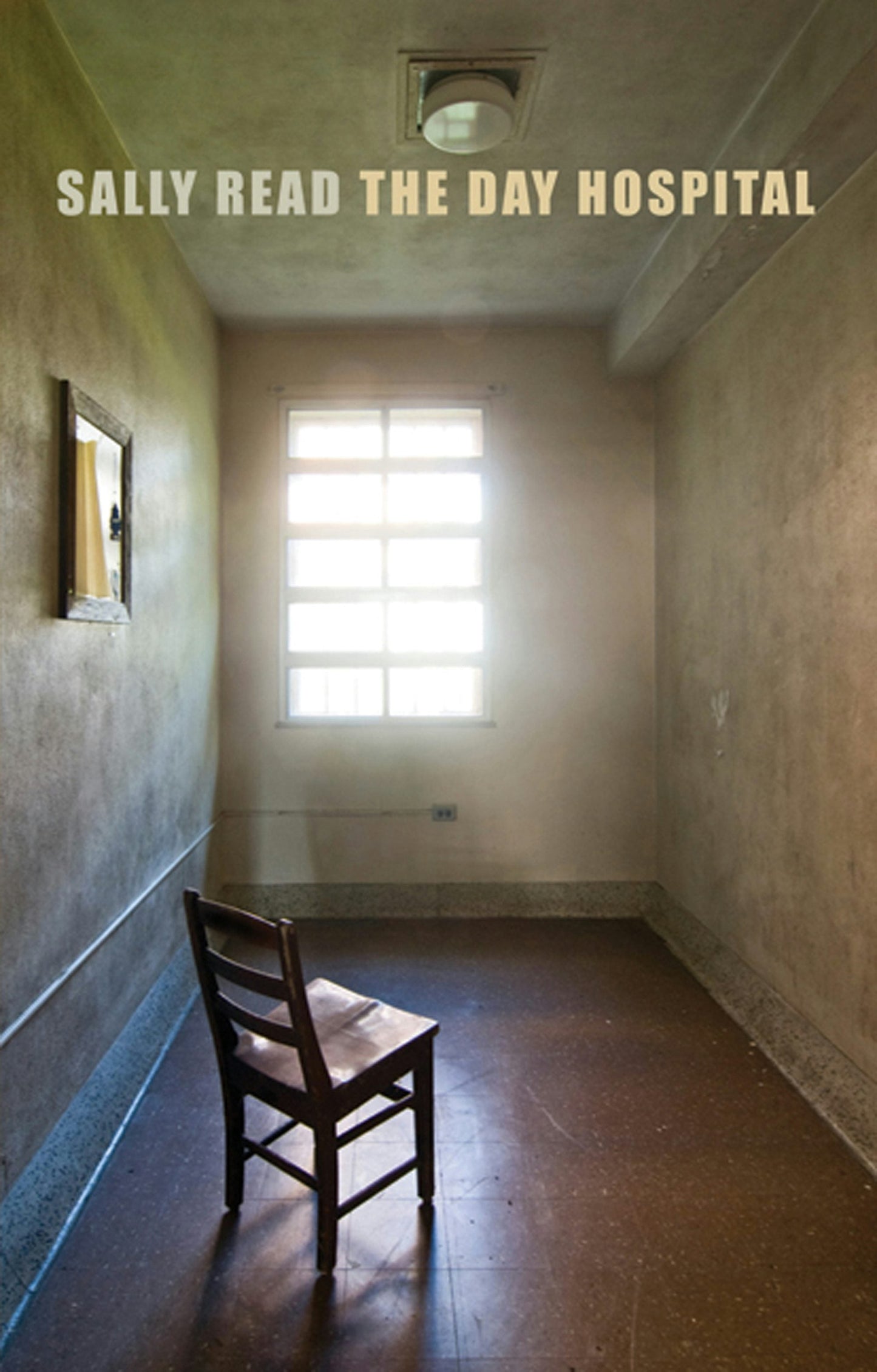 Book cover image for The Day Hospital ISBN: 9781852249489