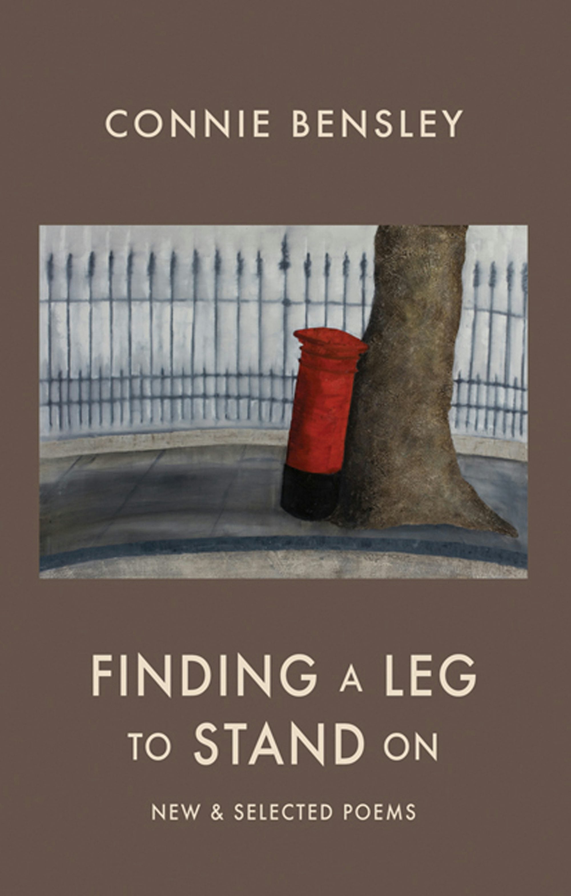 Book cover image for Finding a Leg to Stand On ISBN: 9781852249564