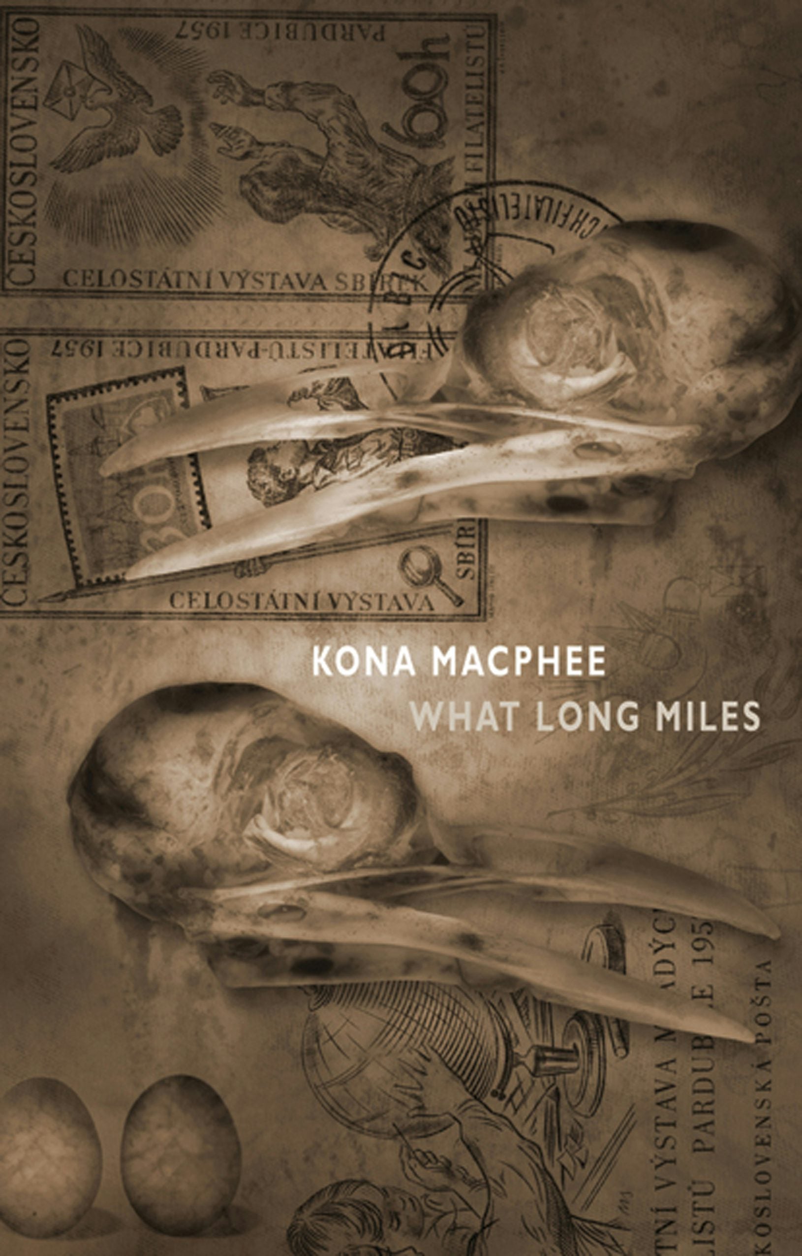 Book cover image for What Long Miles ISBN: 9781852249656