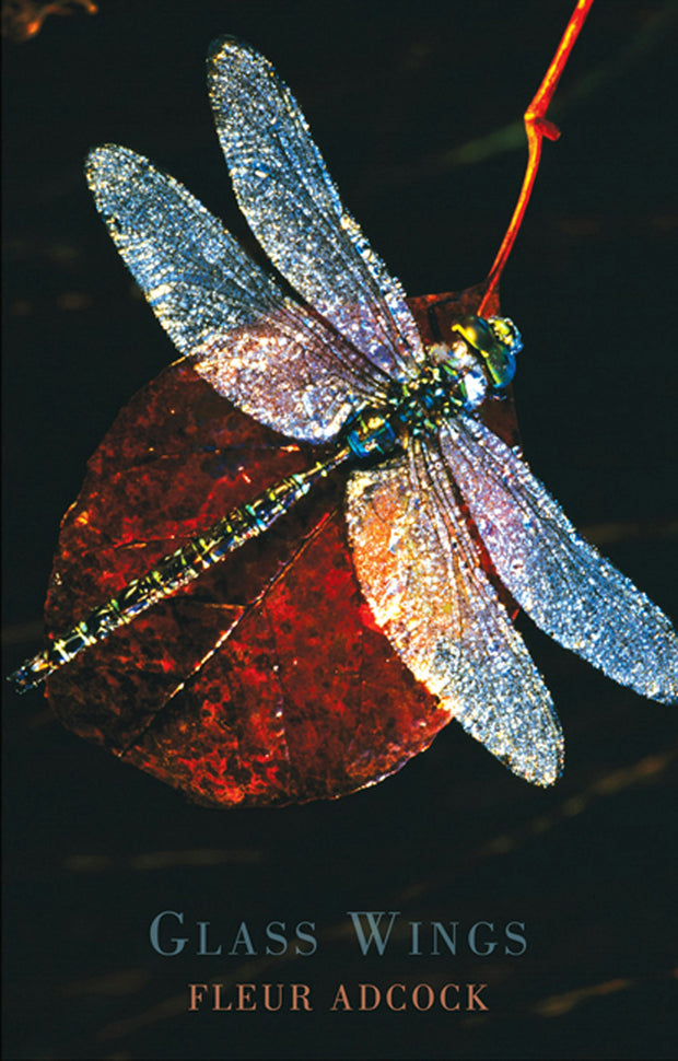 Cover image for Glass Wings, isbn: 9781852249731