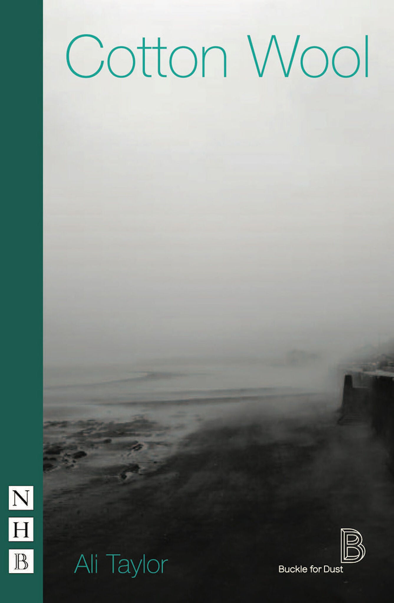 Cover image for Cotton Wool ISBN 9781854595362