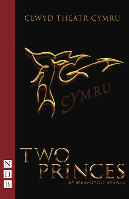 Book cover image for Two Princes ISBN: 9781854595591