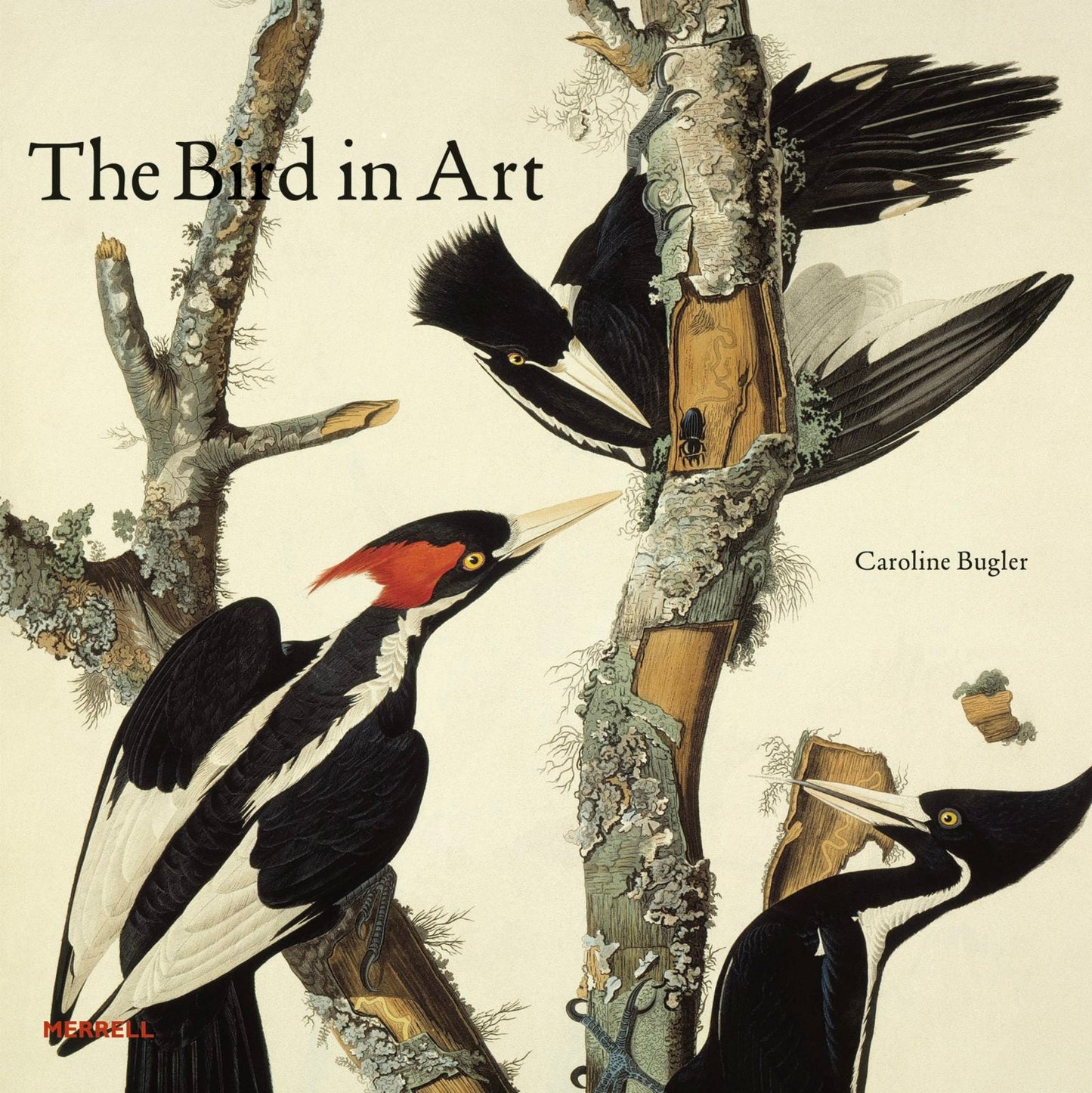 Book cover image for The Bird in Art ISBN: 9781858945682