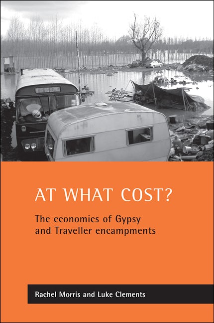 Book cover image for At what cost? ISBN: 9781861344236