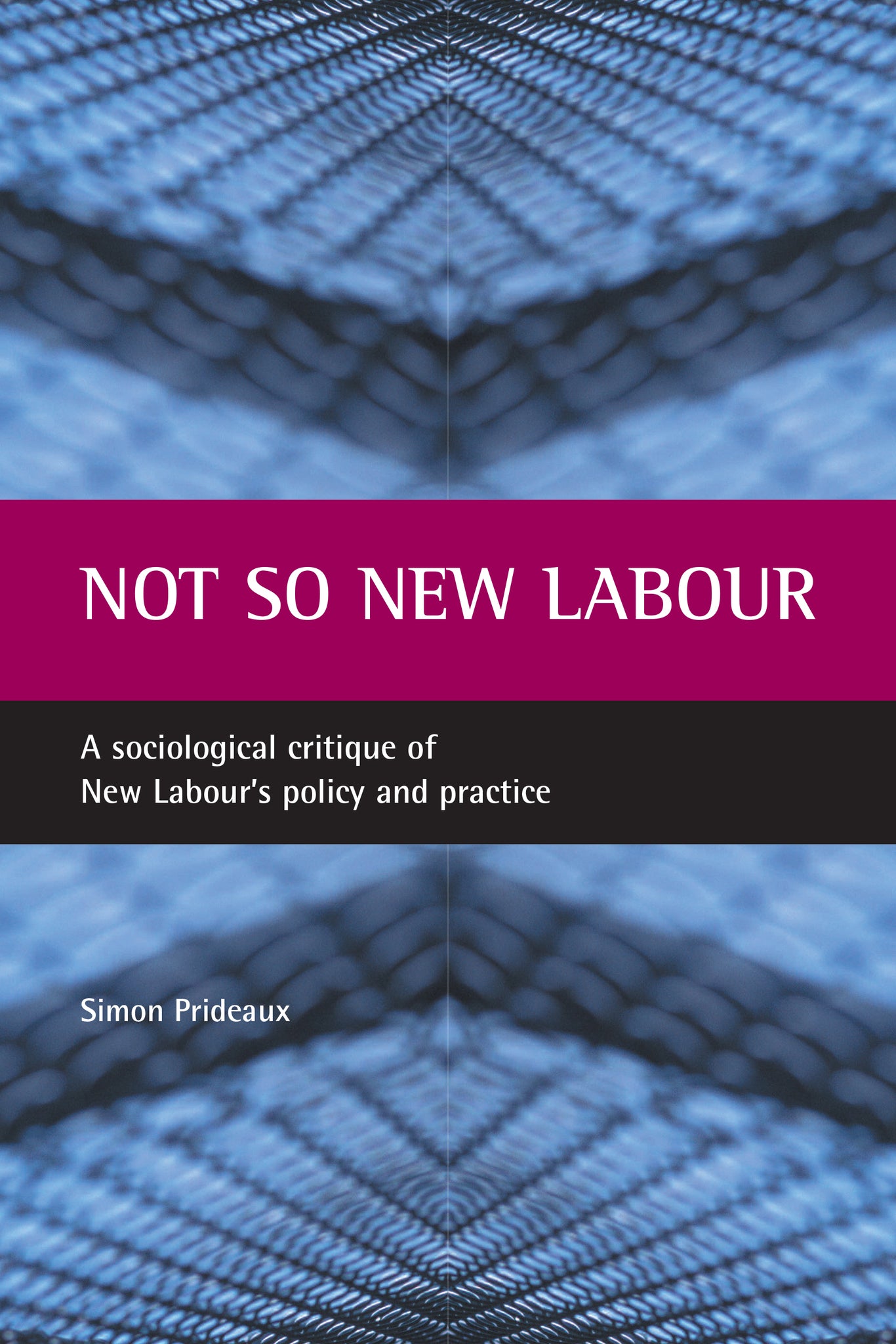 Cover image for Not so New Labour ISBN 9781861344601
