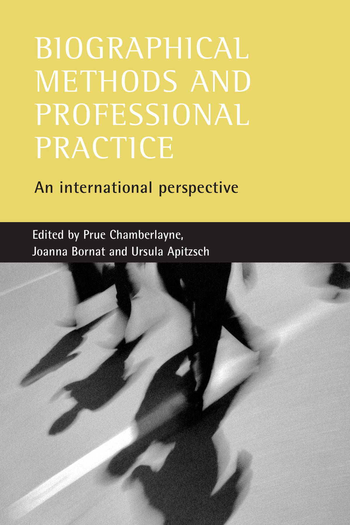 Cover image for Biographical methods and professional practice ISBN 9781861344939