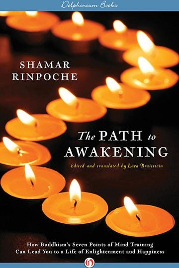 Cover image for The Path to Awakening, isbn: 9781883285593