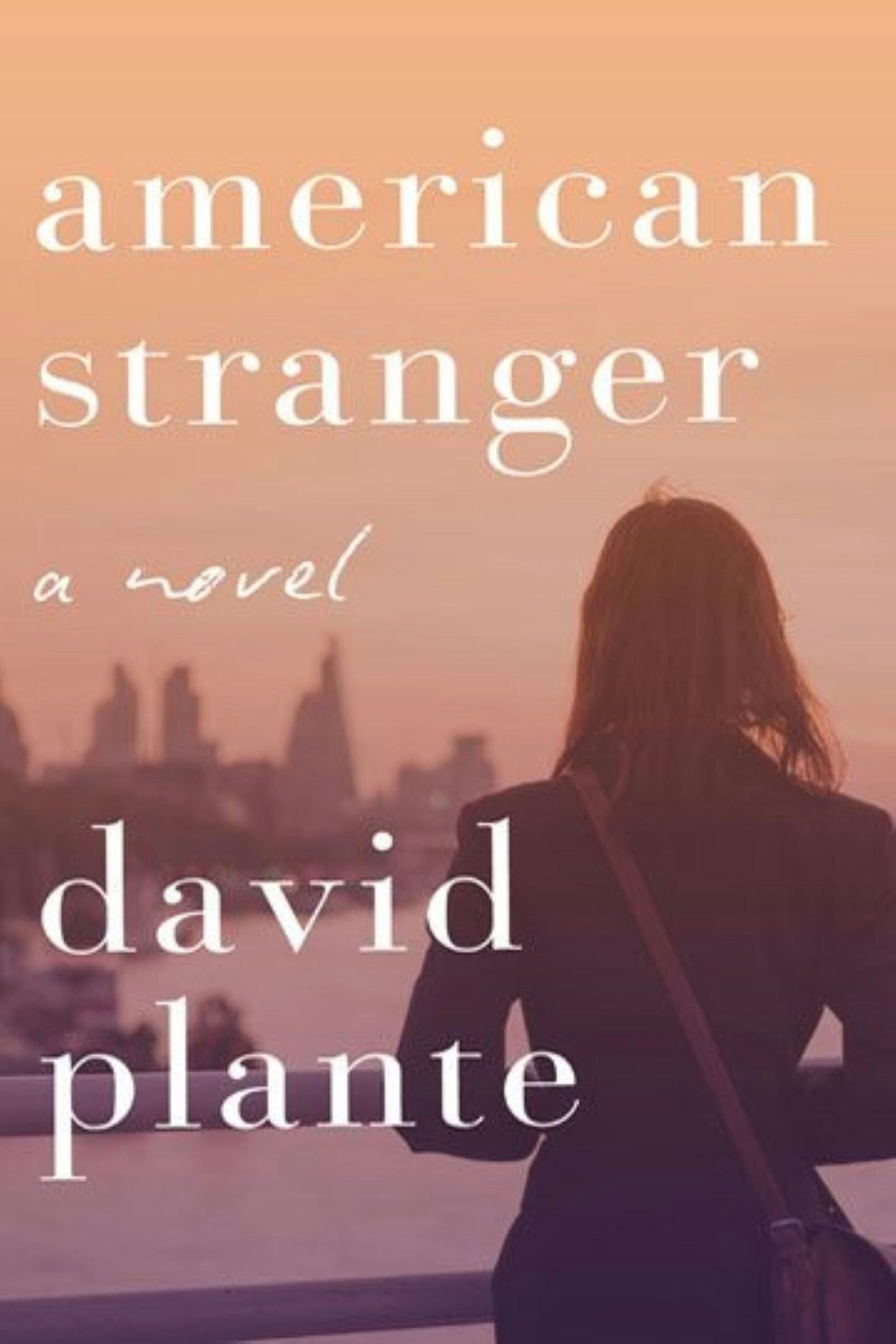 Book cover image for American Stranger ISBN: 9781883285739
