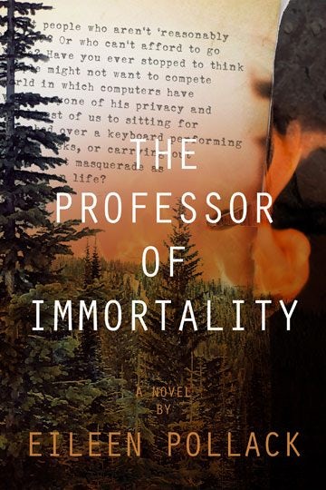 Cover image for The Professor of Immortality A Novel, isbn: 9781883285821
