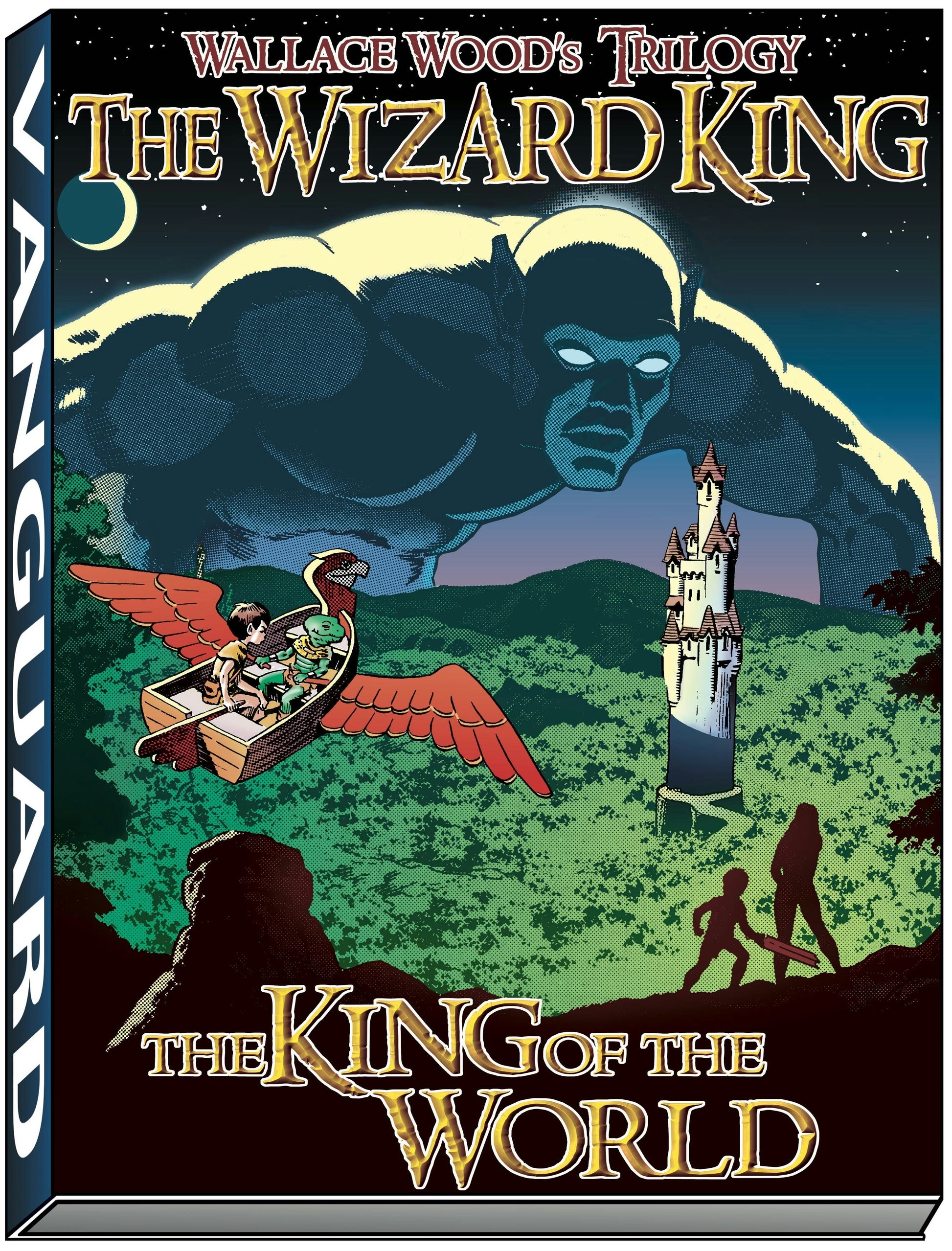 Wizard King Trilogy (book1