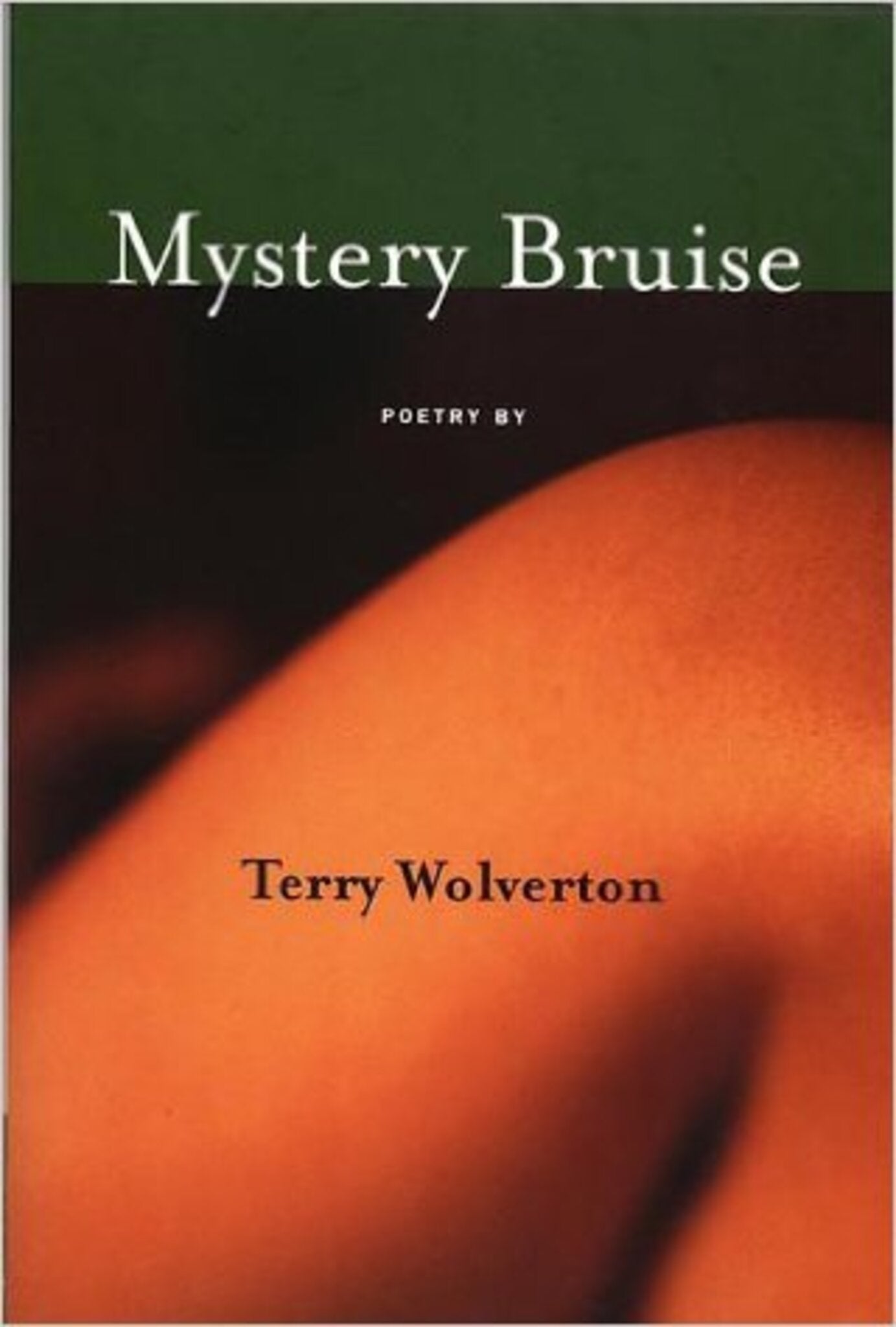 Cover image for MYSTERY BRUISE ISBN 9781888996142