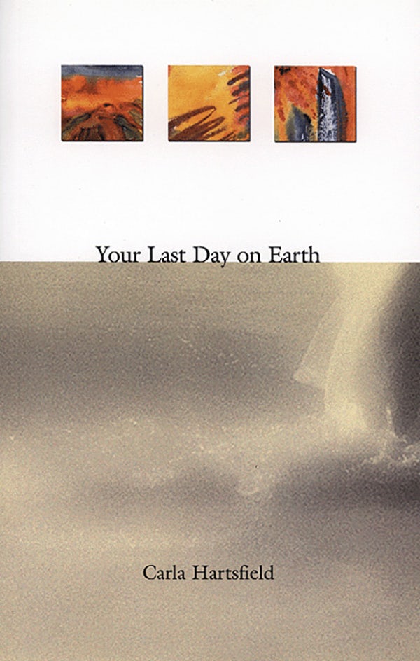 Book cover image for Your Last Day on Earth ISBN: 9781894078313