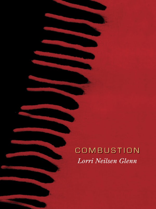 Book cover image for Combustion ISBN: 9781894078559