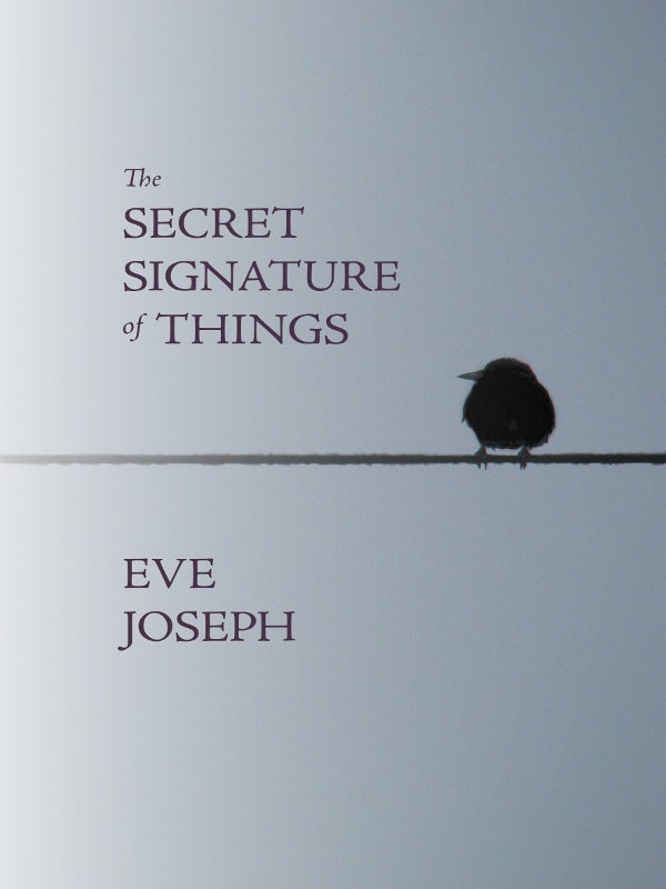 Book cover image for The Secret Signature of Things ISBN: 9781894078818