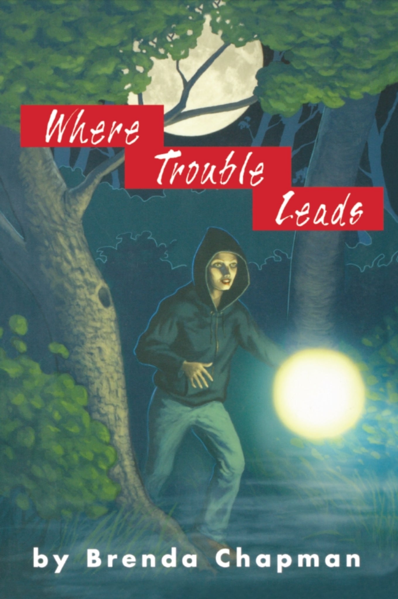 Cover image for Where Trouble Leads ISBN 9781894917445