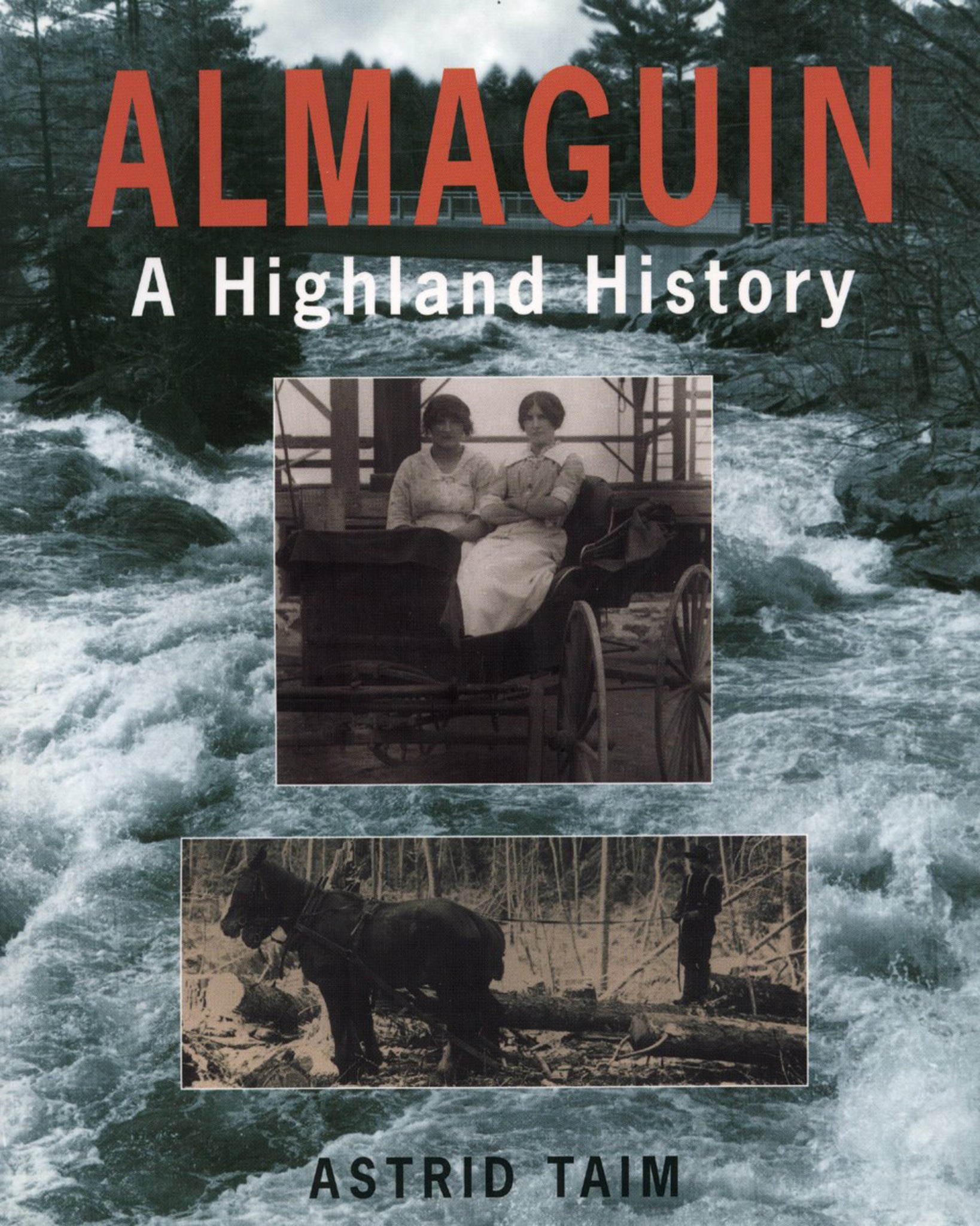 Cover image for Almaguin ISBN 9781896219370