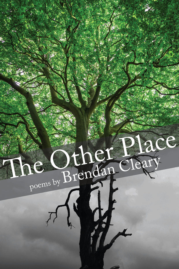 Cover image for The Other Place, isbn: 9781906309565