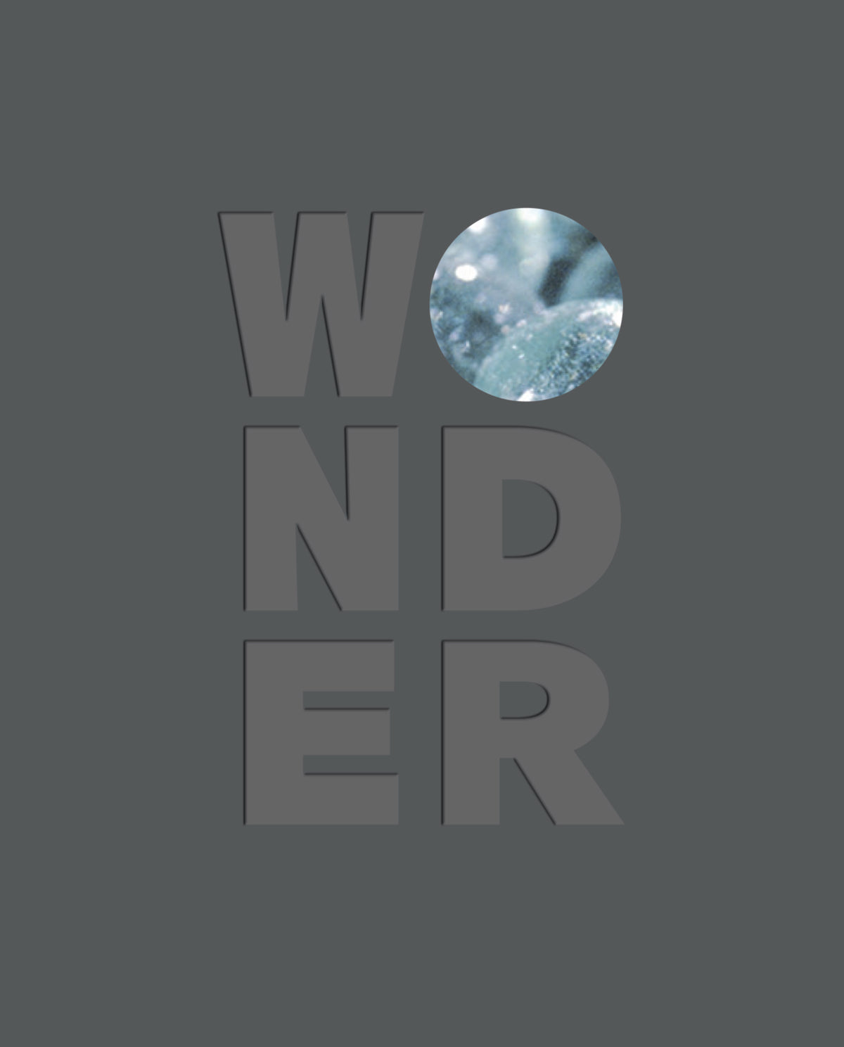 Cover image for Wonder ISBN 9781907804830