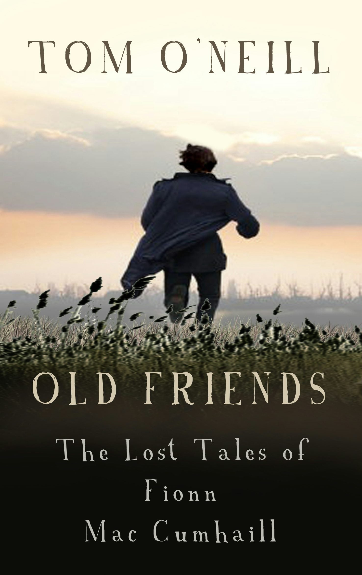 Book cover image for Old Friends ISBN: 9781908195081