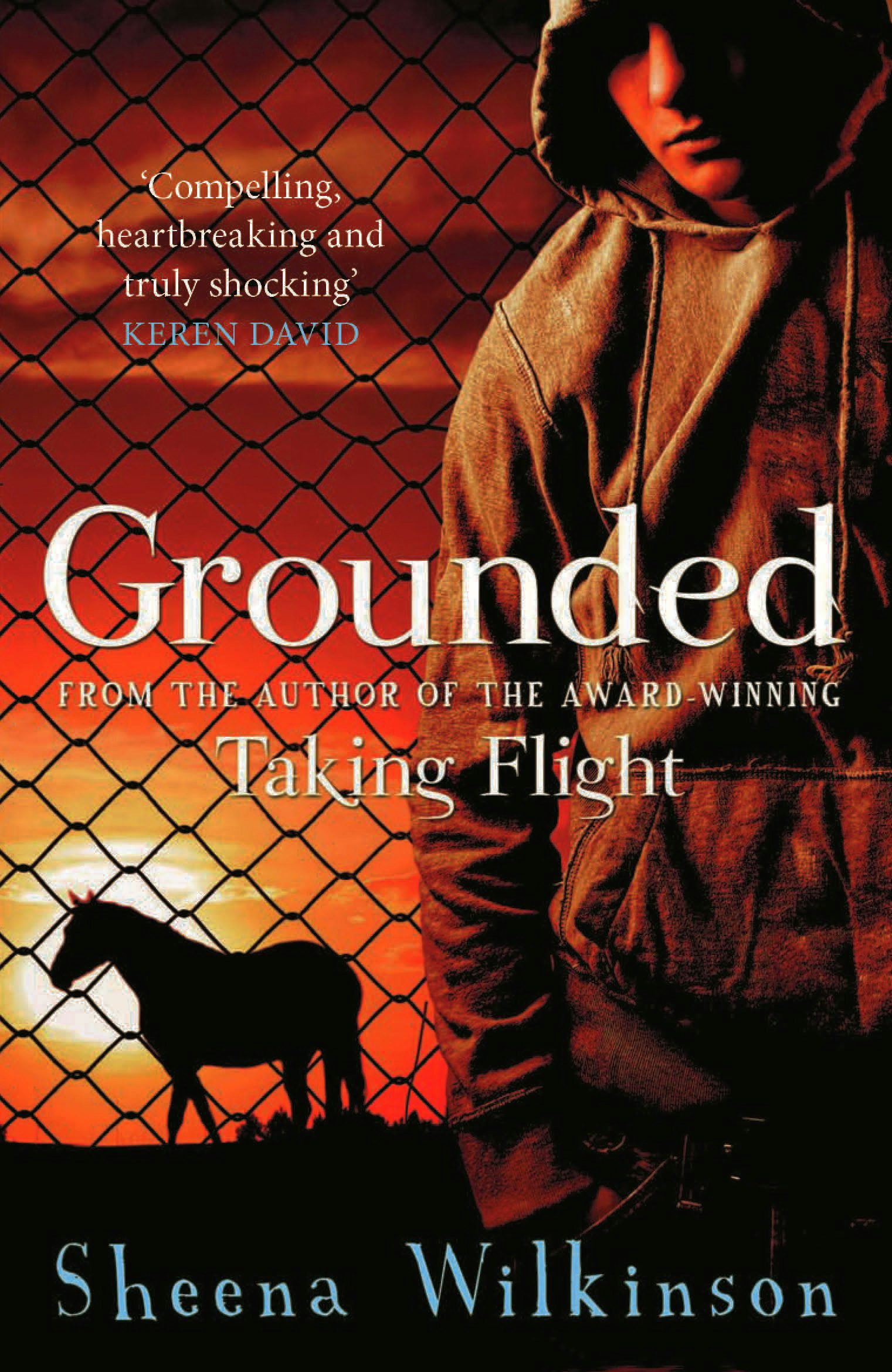 Book cover image for Grounded ISBN: 9781908195449