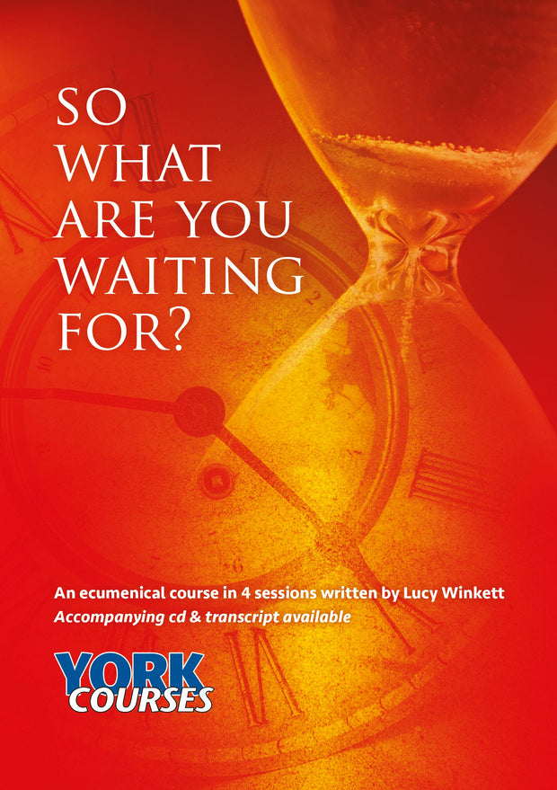 Cover image for So what are you waiting for?, isbn: 9781909107687