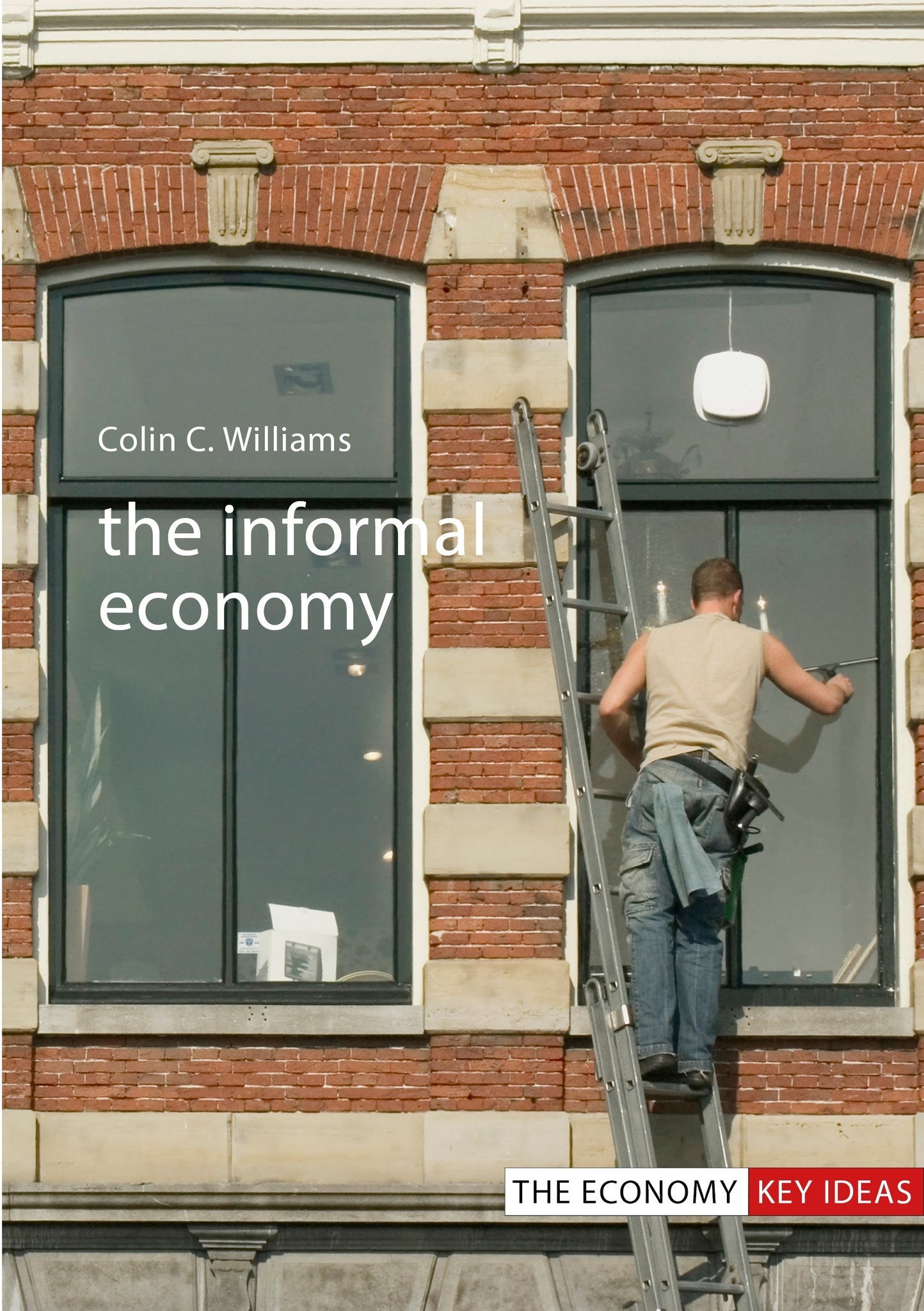 Cover image for The Informal Economy ISBN 9781911116301