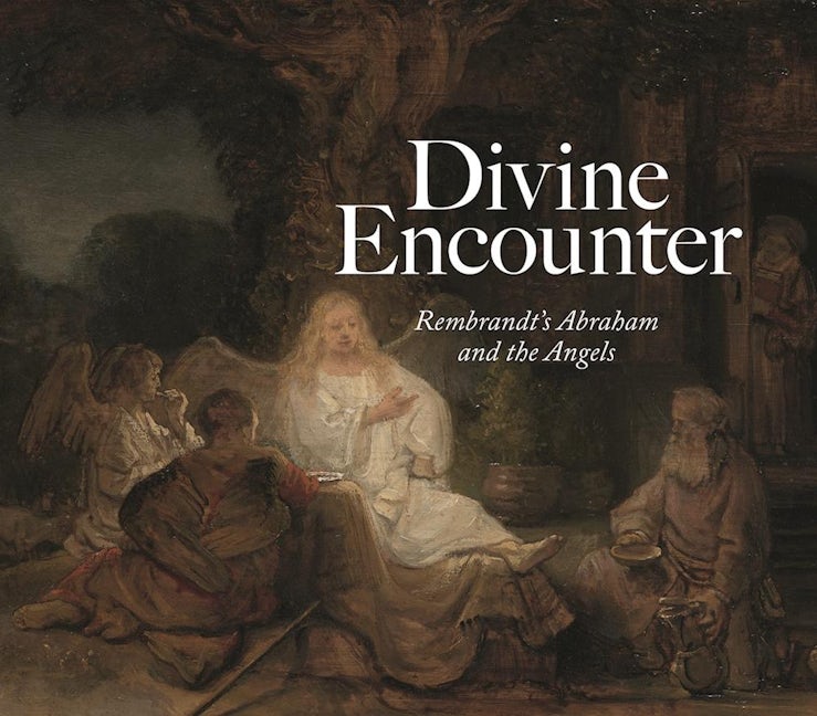 Book cover image for Divine Encounter ISBN: 9781911282037