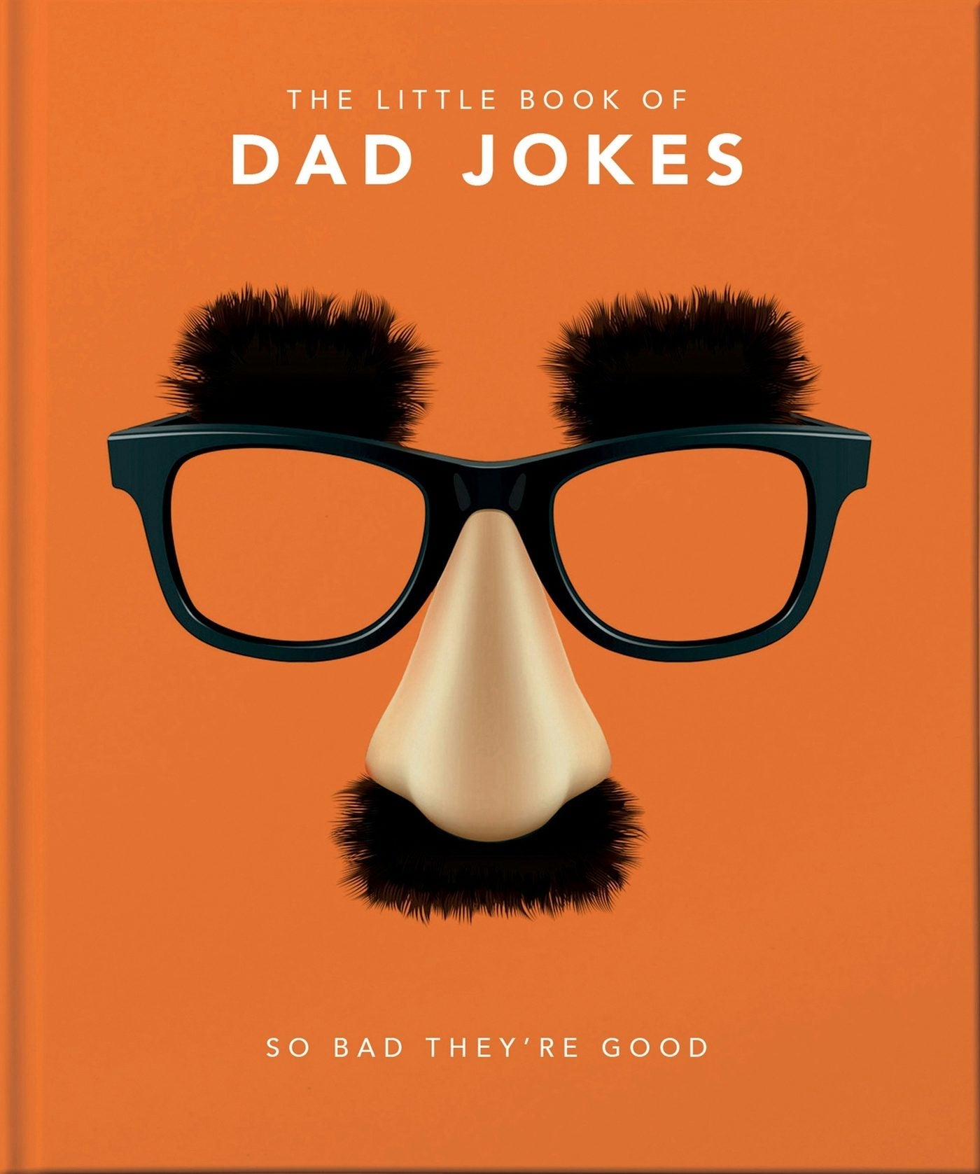 Book cover image for The Little Book of Dad Jokes ISBN: 9781911610434