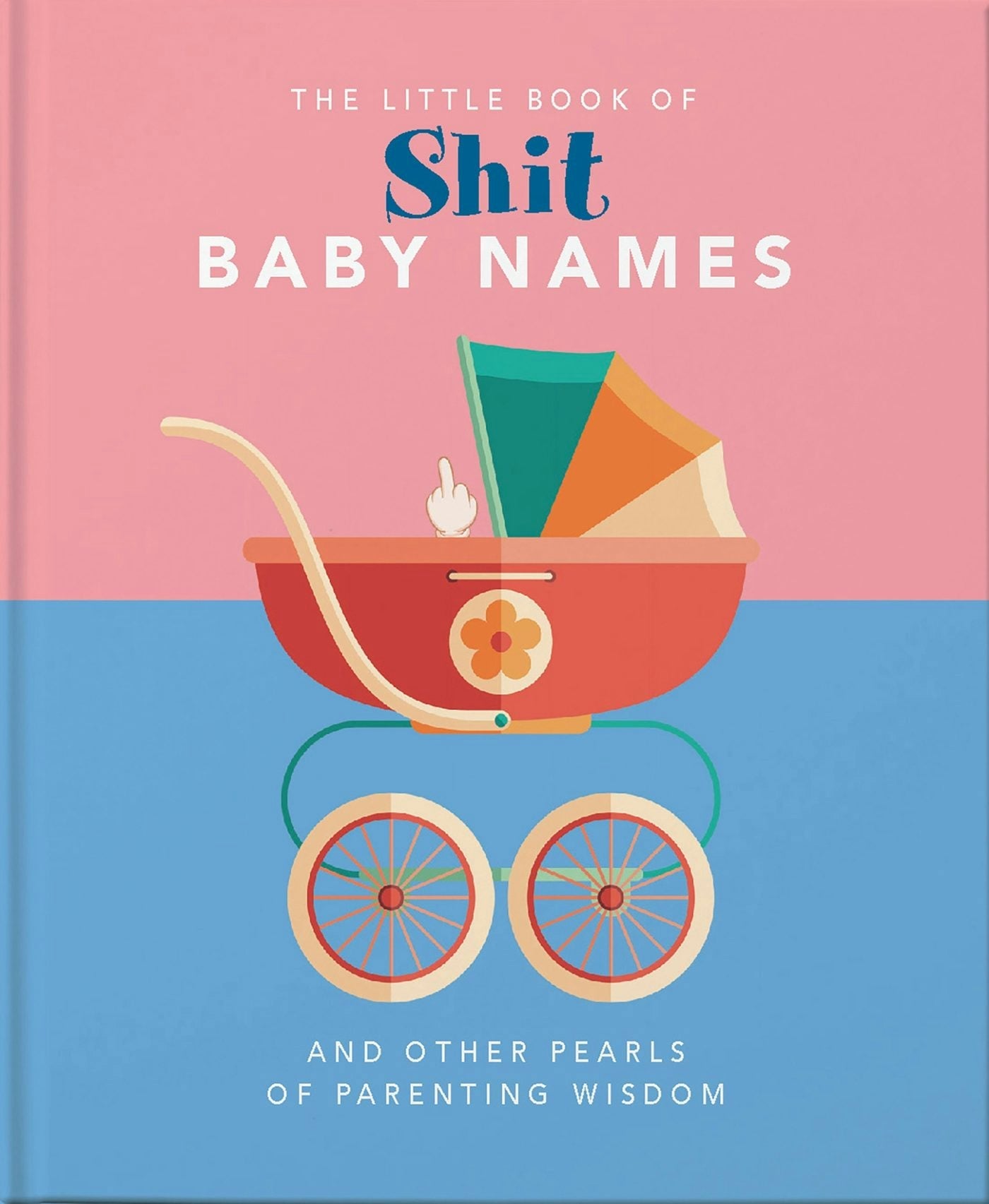 Book cover image for Little Book of Shit Baby Names ISBN: 9781911610502