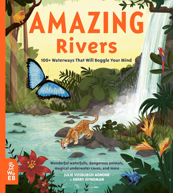 Book cover image for Amazing Rivers ISBN: 9781912920266