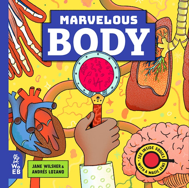 Marvelous Body