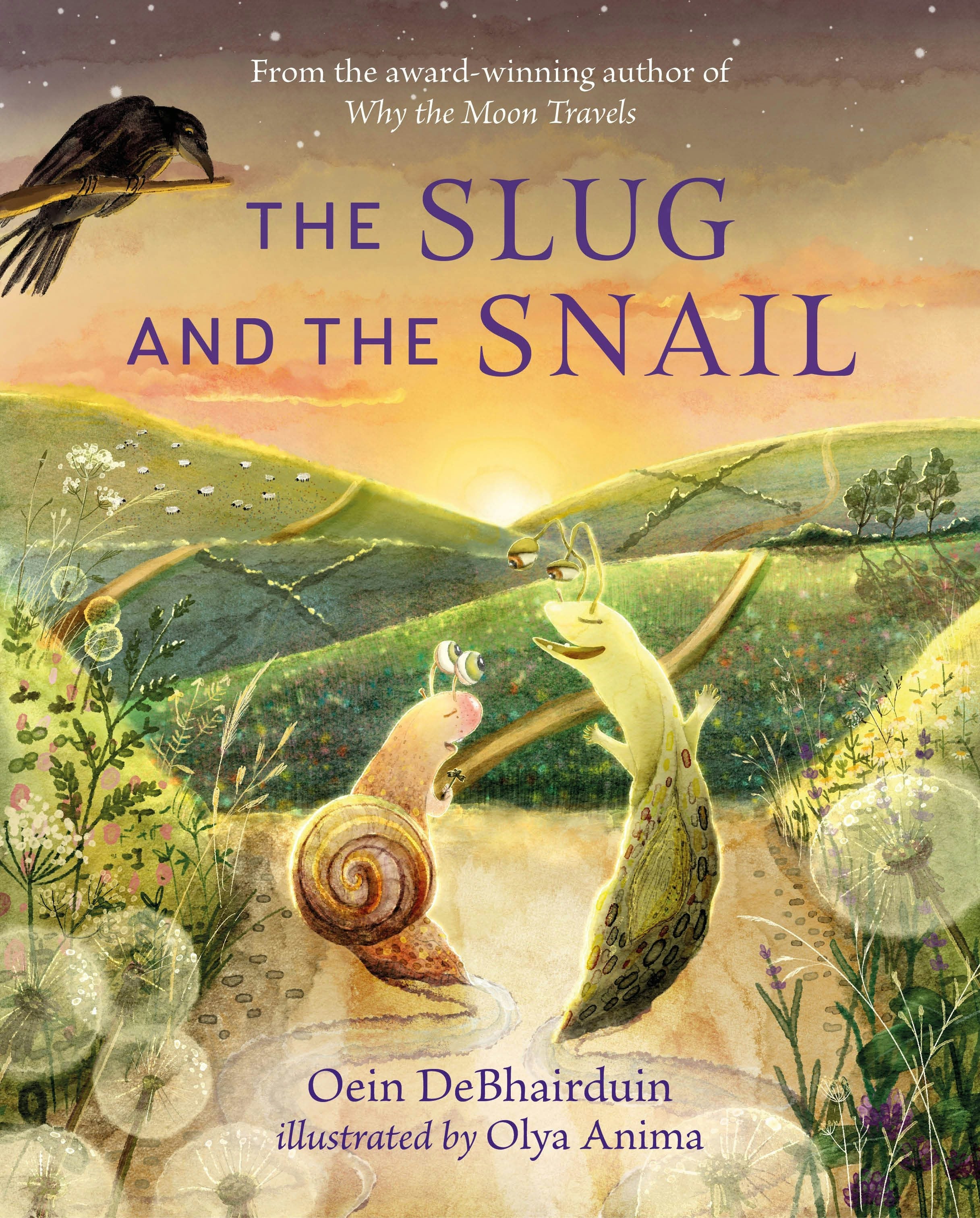 Book cover image for The Slug and the Snail ISBN: 9781915071071