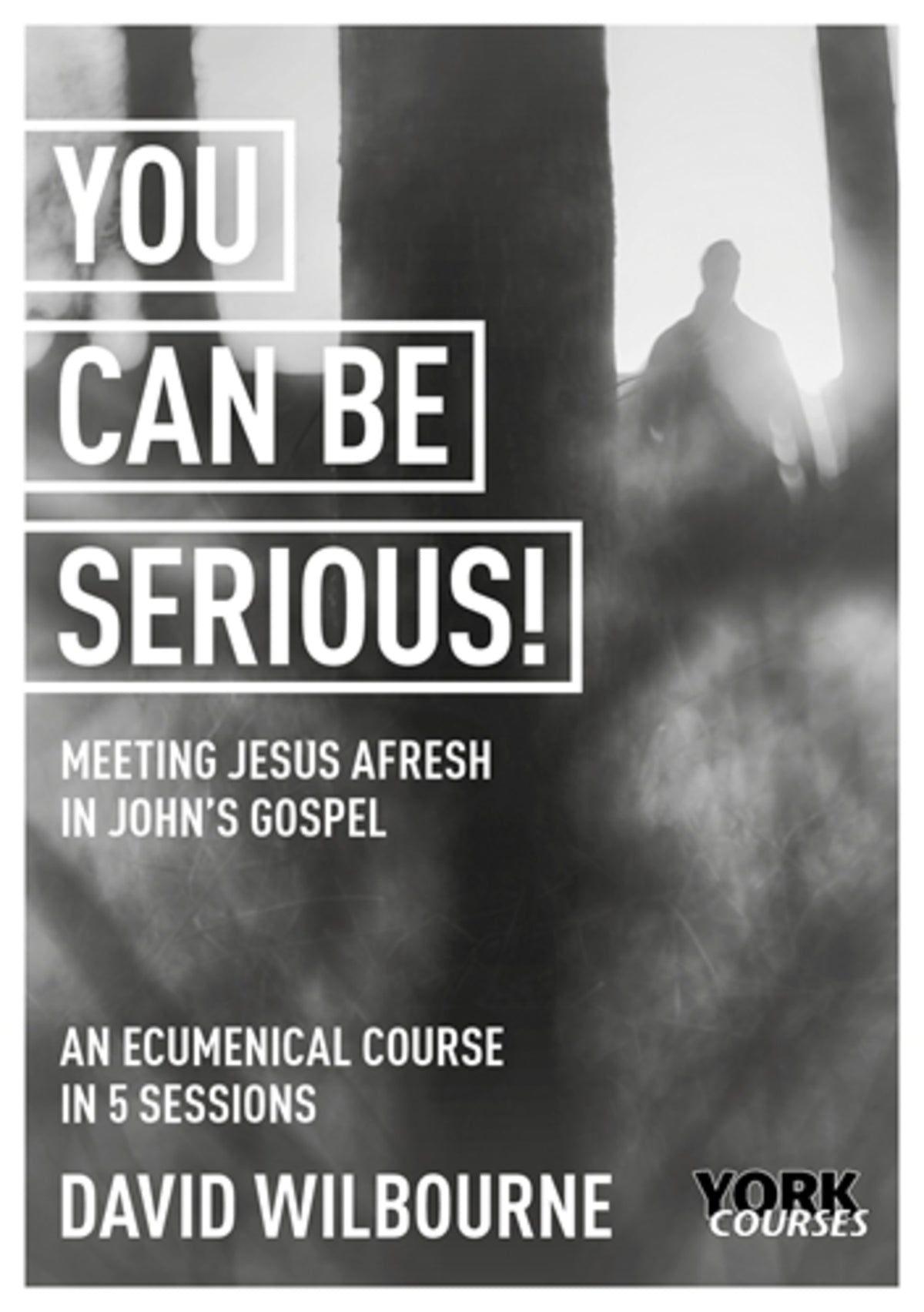Cover image for You Can Be Serious! ISBN 9781915843036