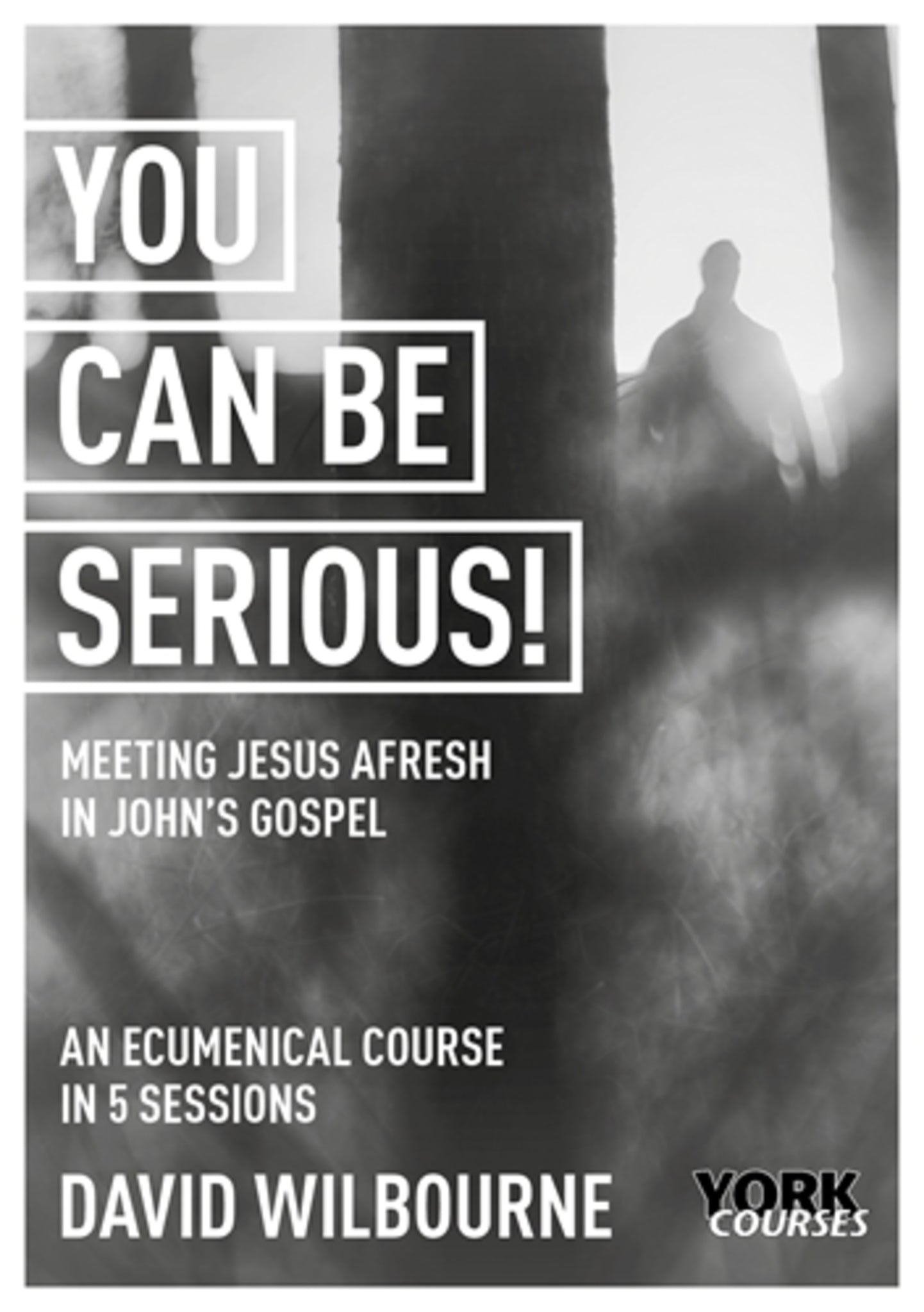 Cover image for You Can Be Serious! ISBN 9781915843036