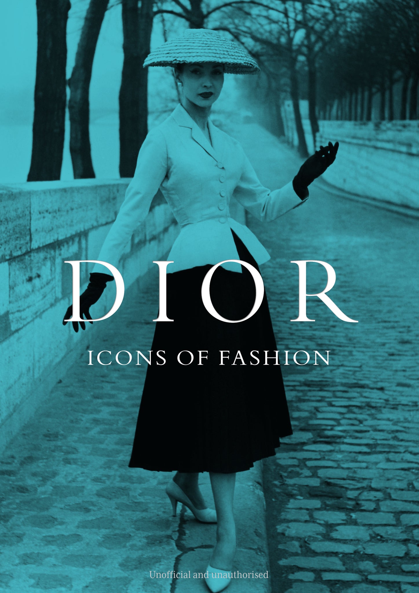 Cover image for Dior: Icons of Fashion ISBN 9781917259286